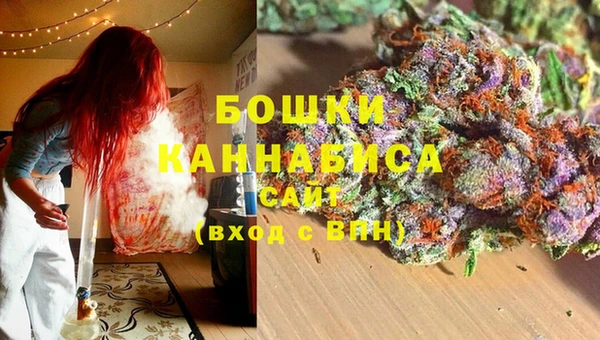 шишки Нефтекумск