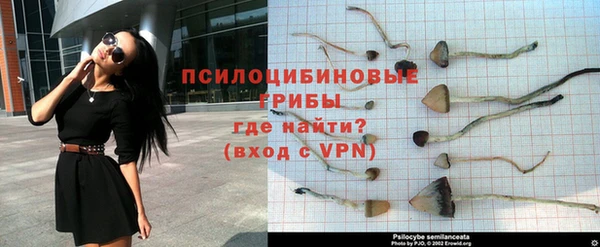 шишки Нефтекумск