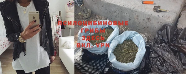 шишки Нефтекумск